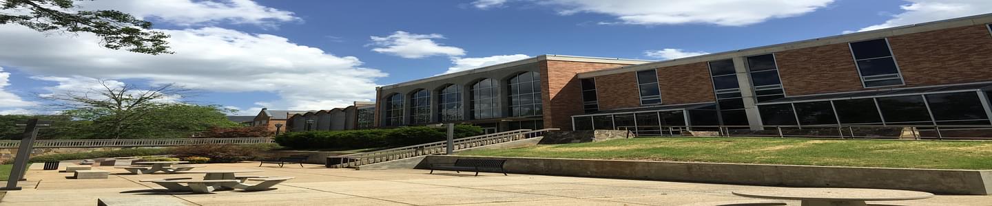 University of North Alabama banner